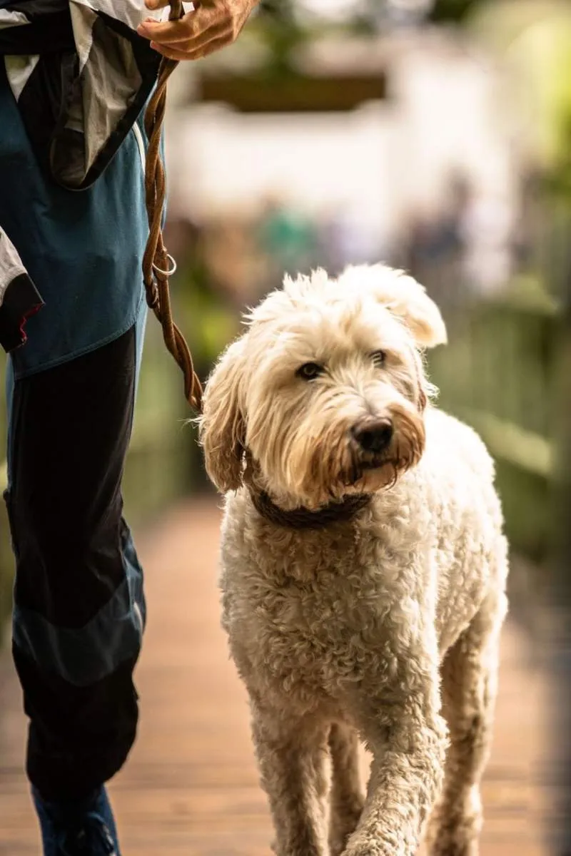 Staufenlauf-2024_DSC8124-2-web