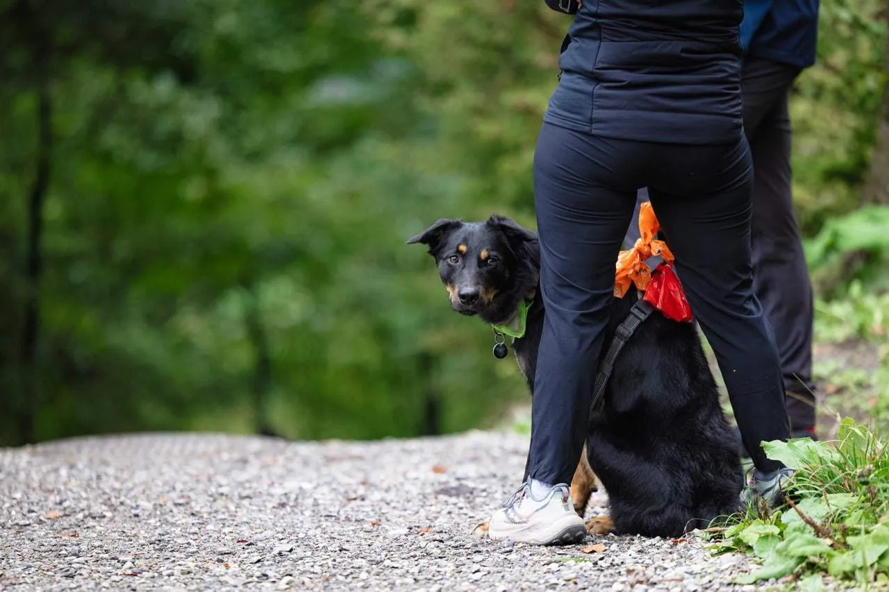 Staufenlauf2025_E0A3158_391_3600@HerbertHeim-web